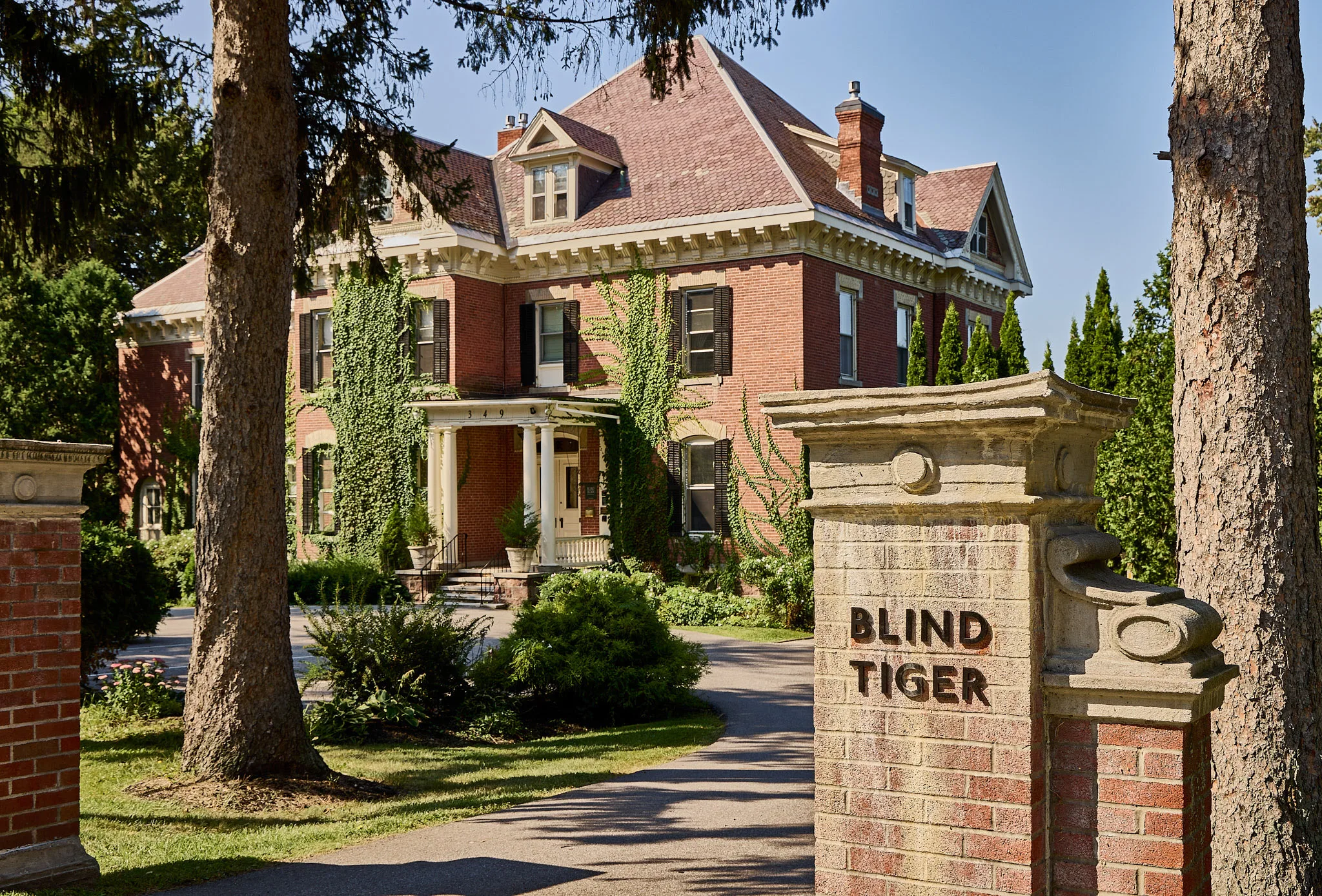 Blind Tiger Burlington: A Practical Stay Guide
