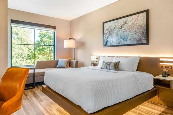 Cambria Hotel New Haven University Area gallery image