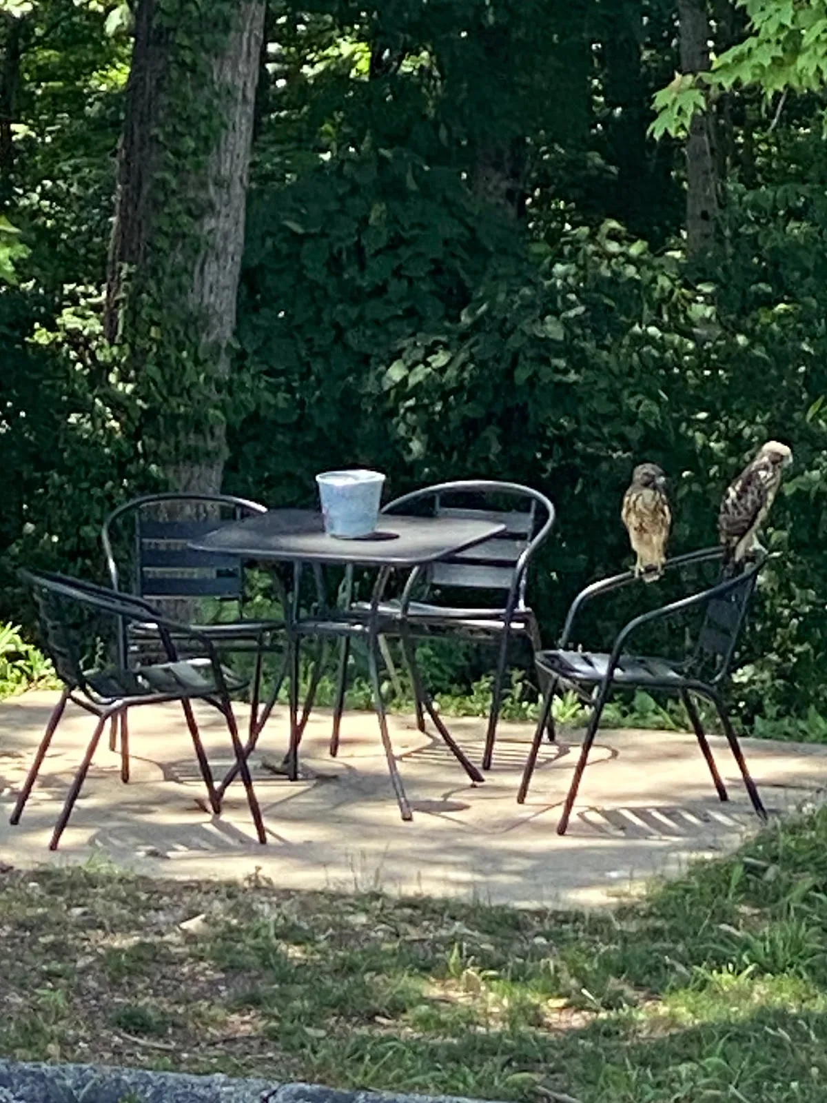 Cascades Inn gallery image