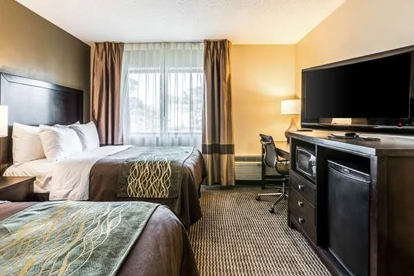 Comfort Inn Detroit Downtown gallery image