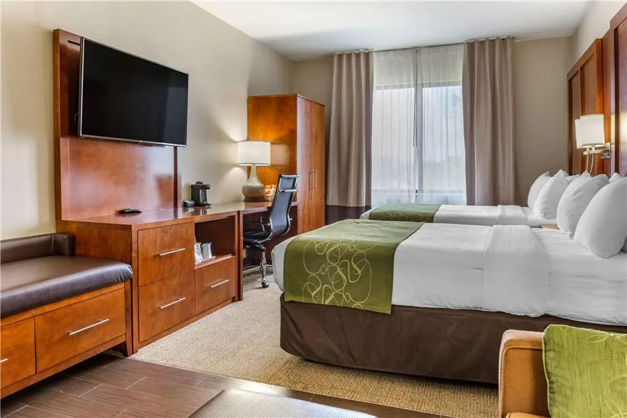 Comfort Suites Dover University Area gallery image