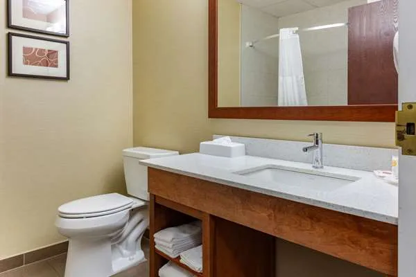 Comfort Suites Dover University Area gallery image