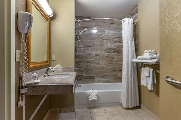 Comfort Suites Grand Rapids South gallery image