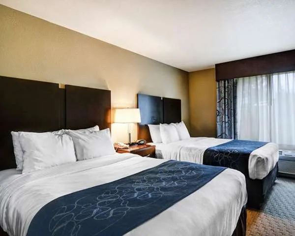 Comfort Suites near Hot Springs Park gallery image