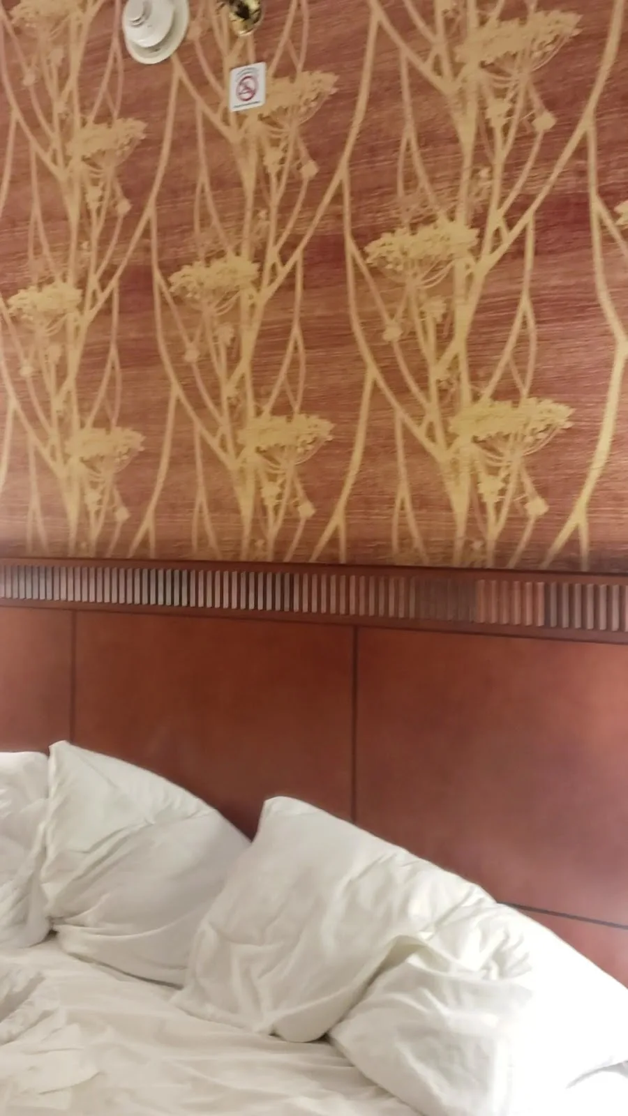 Courtyard by Marriott Raleigh Midtown gallery image