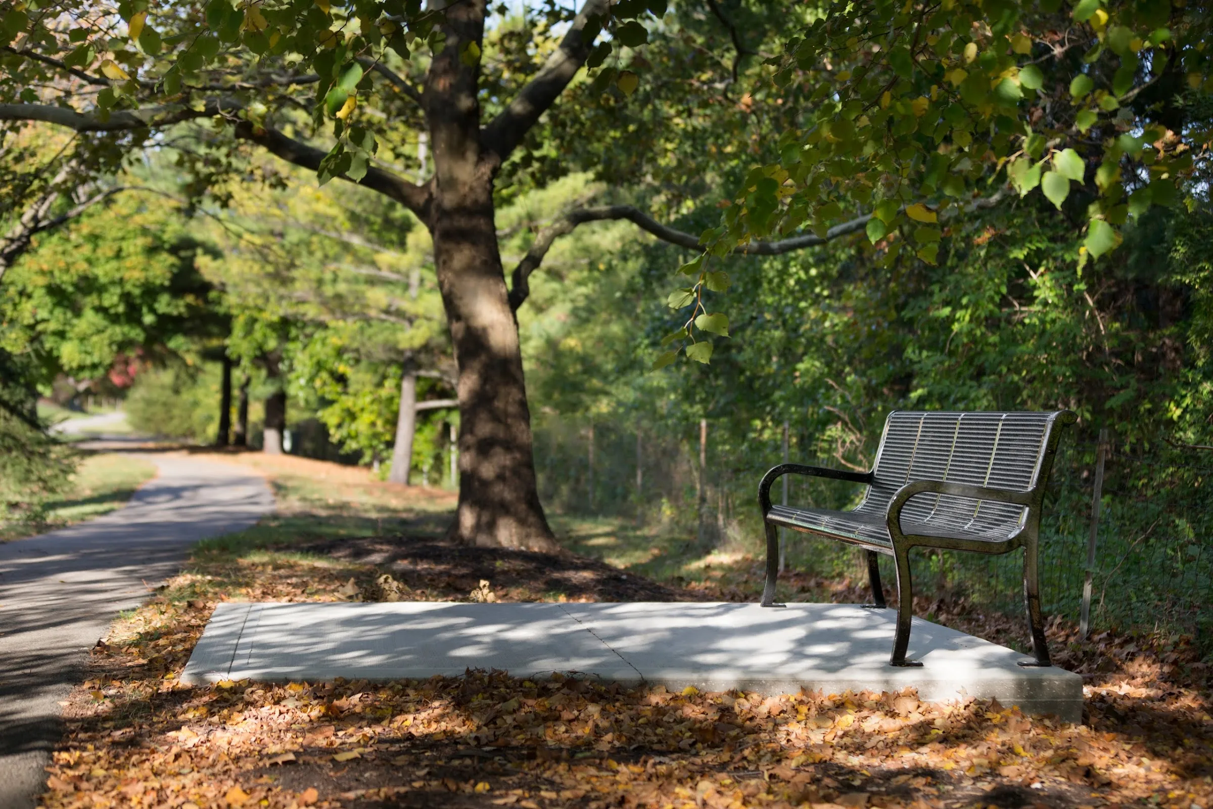Embassy Suites by Hilton Columbus gallery image