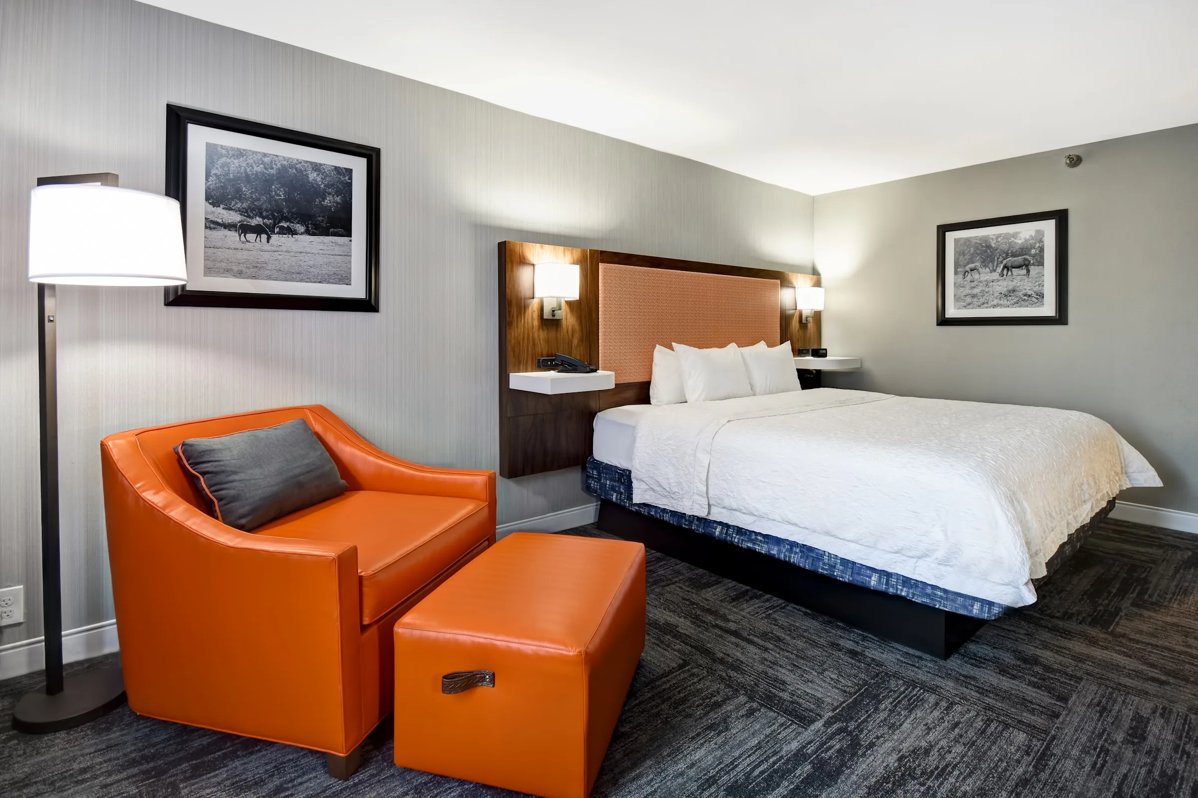 Hampton Inn I-75 Lexington/Hamburg Area gallery image