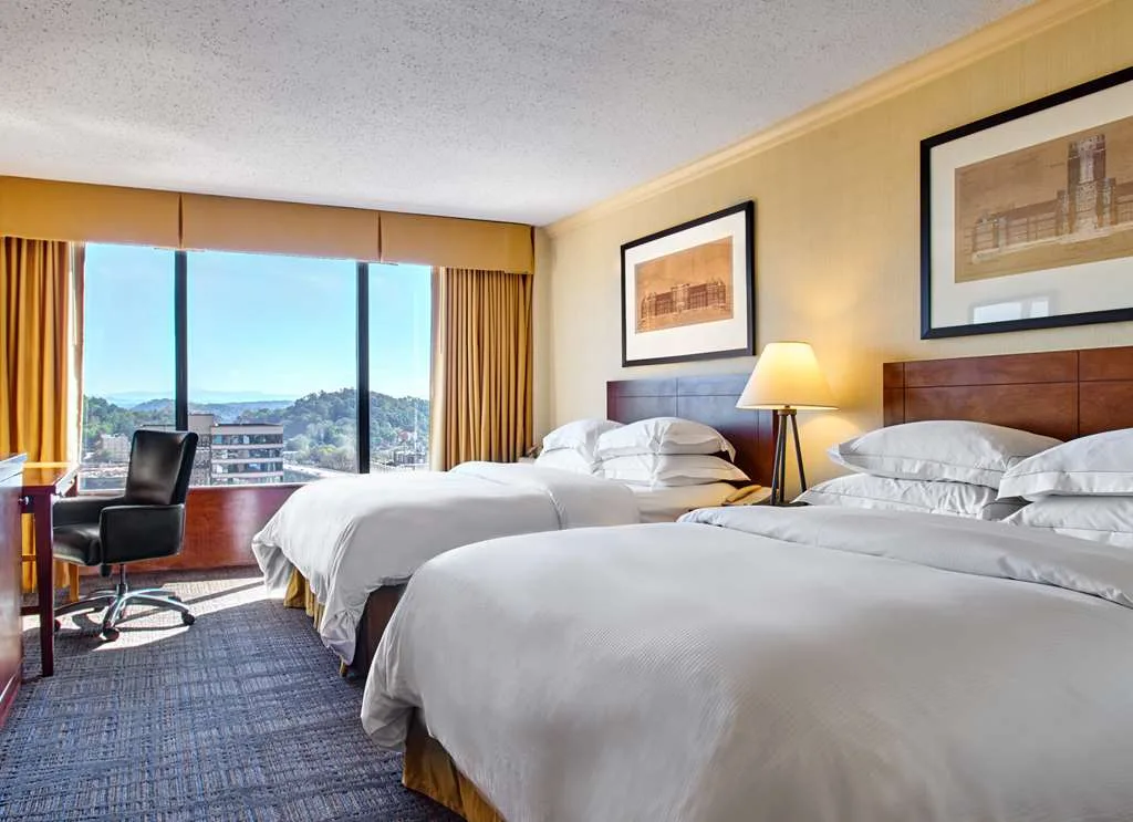 Hilton Knoxville gallery image