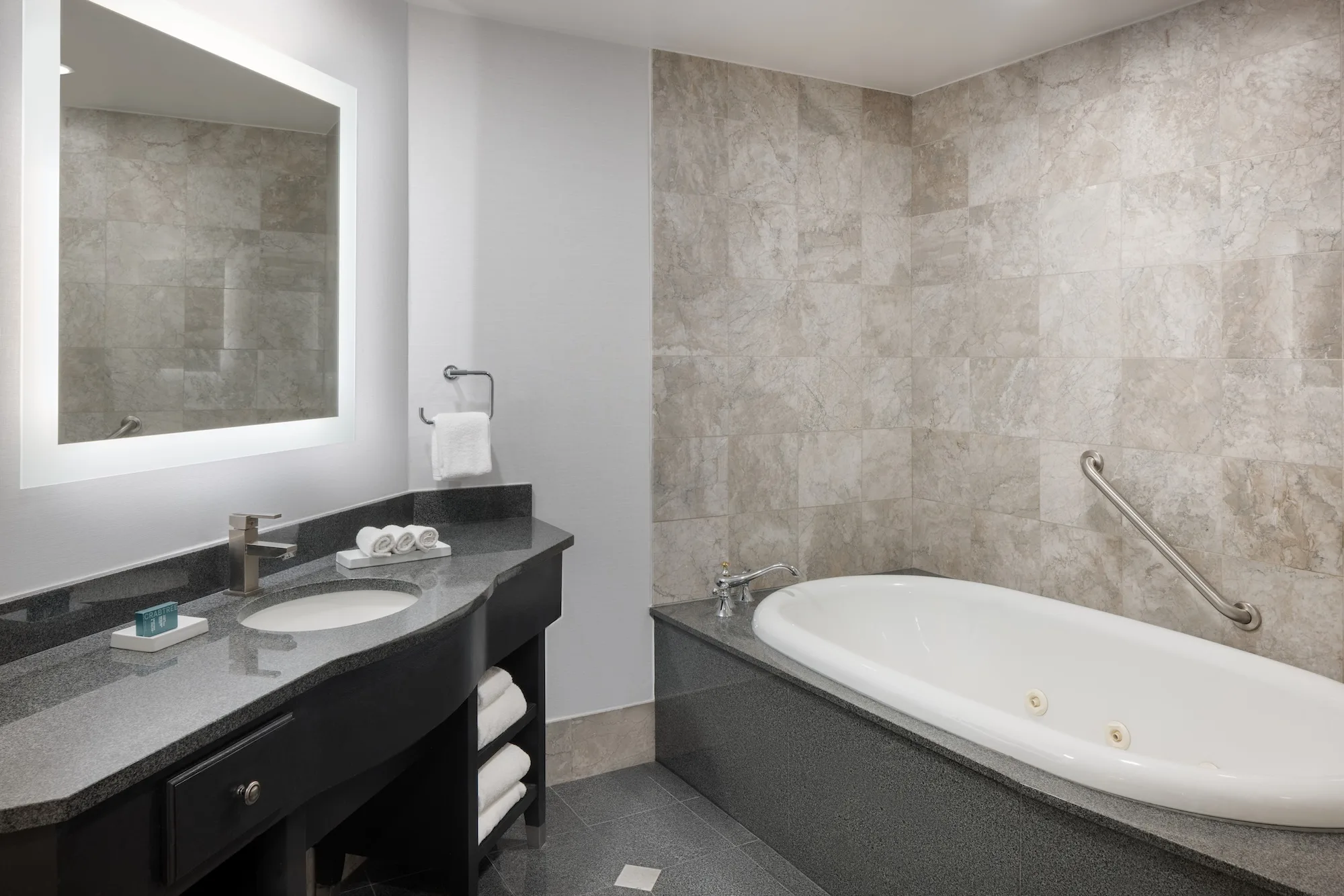 Hilton Pennywell St. Louis at the Arch gallery image