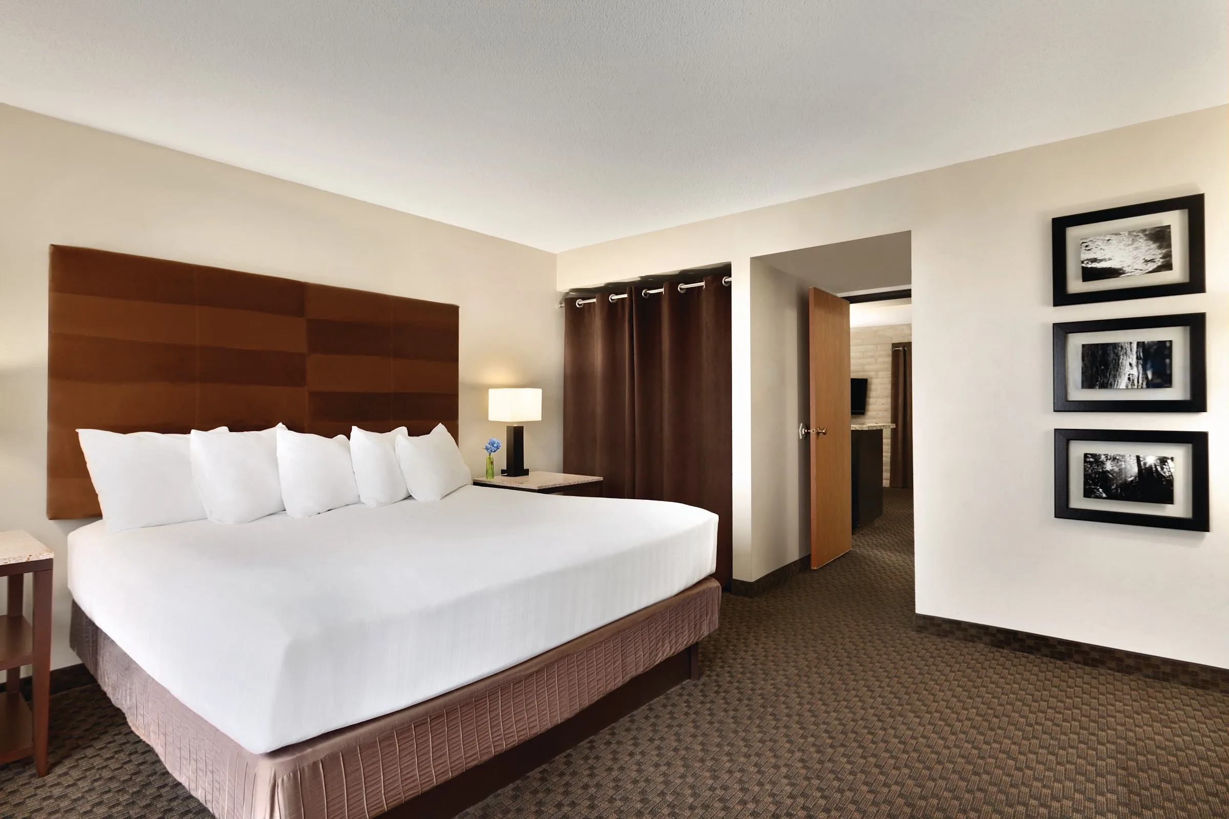 Hyatt Regency Green Bay gallery image