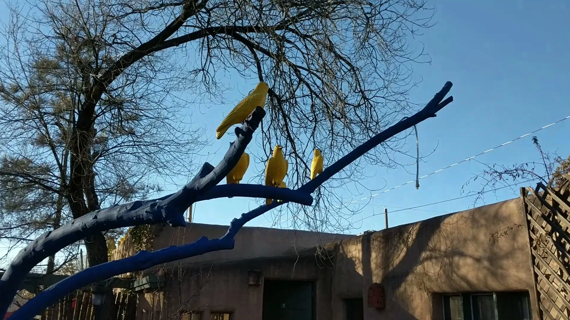 Las Palomas gallery image