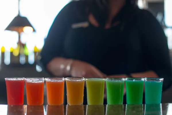 Radisson Hotel Duluth-Harborview gallery image