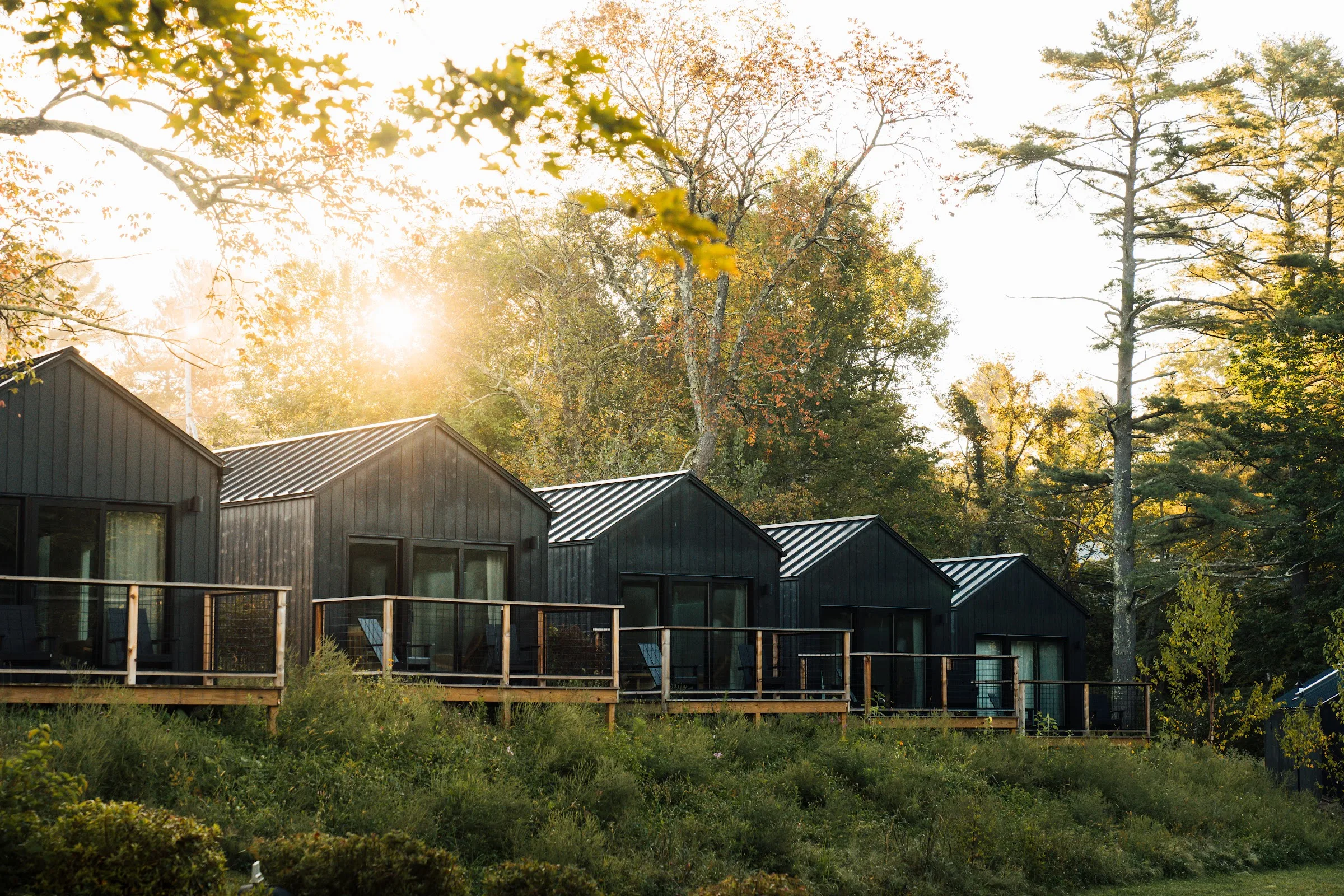 Tälta Lodge, a Bluebird by Lark primary photo