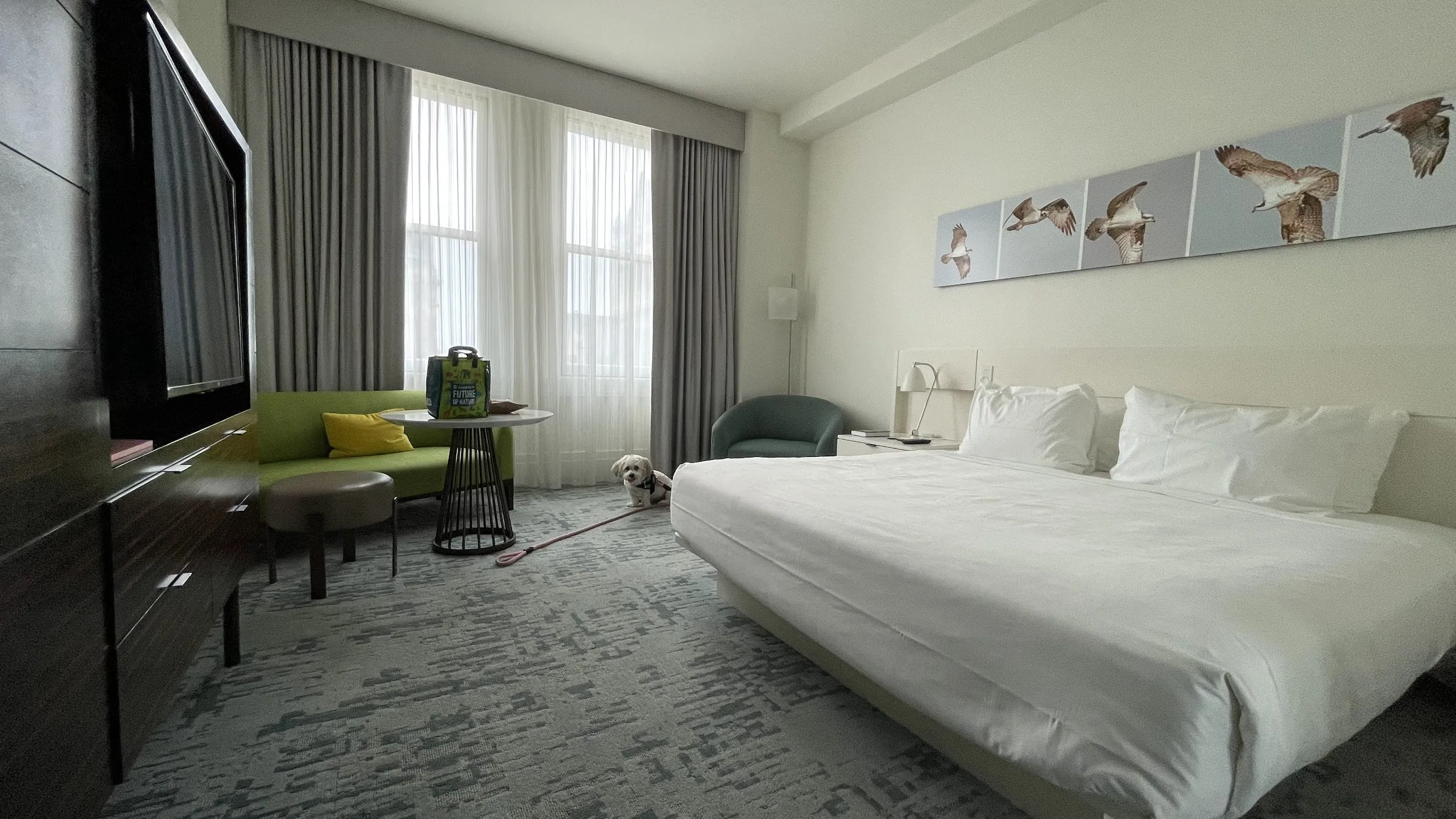 21c Museum Hotel Lexington gallery image