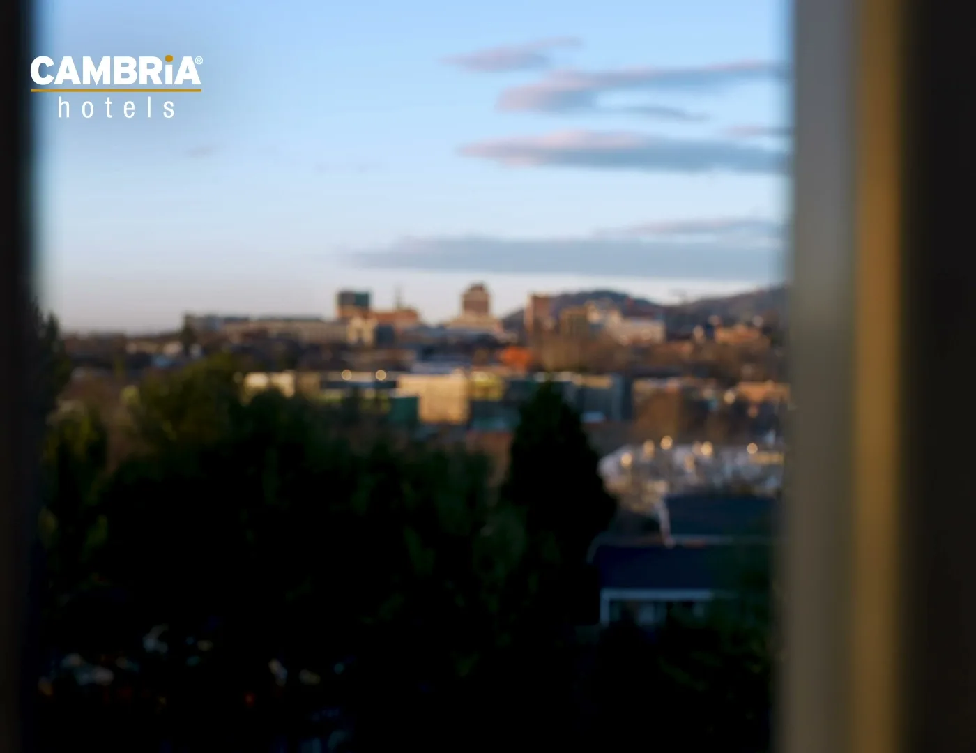 Cambria Hotel Downtown Asheville gallery image