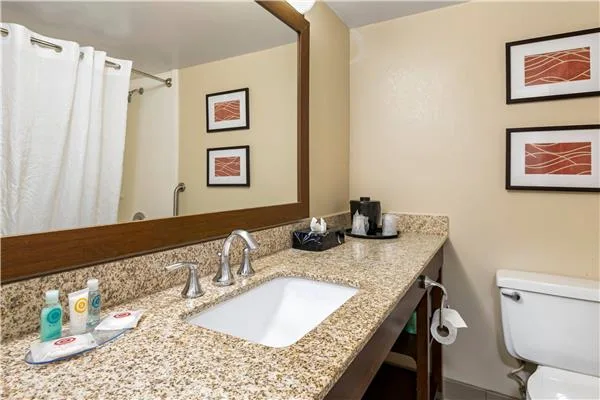 Comfort Inn MSP Airport - Mall of America gallery image