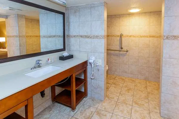 Comfort Inn Salt Lake City Downtown gallery image