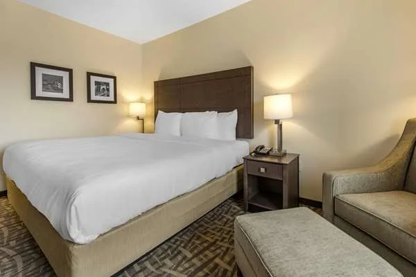 Comfort Inn & Suites Pittsburgh-Northshore gallery image