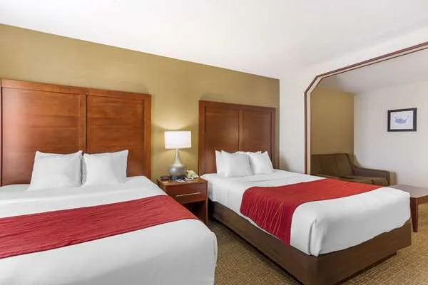 Comfort Inn & Suites Rapid City South - Mt Rushmore Gateway gallery image