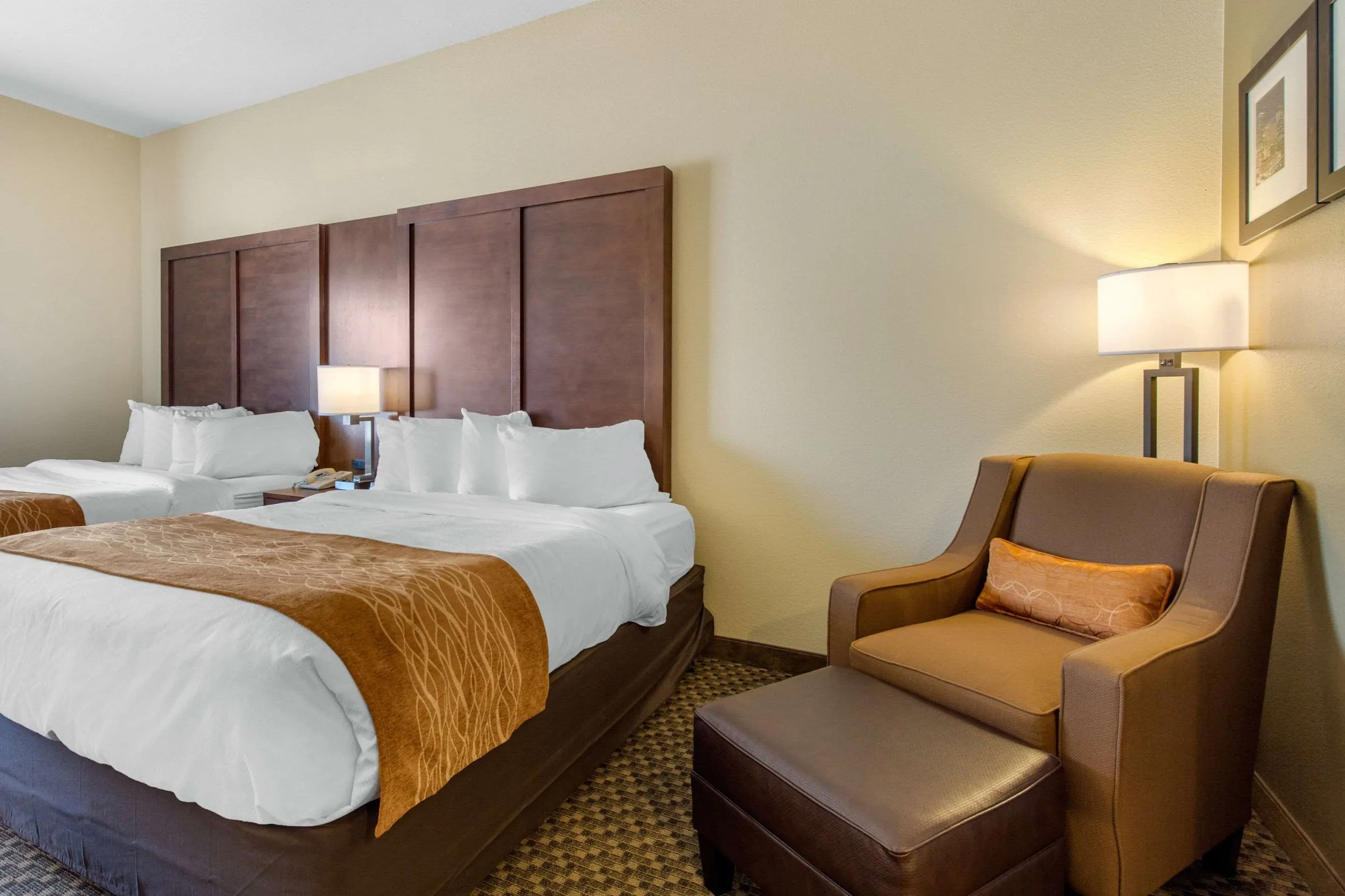 Comfort Inn & Suites SW Houston Sugarland gallery image