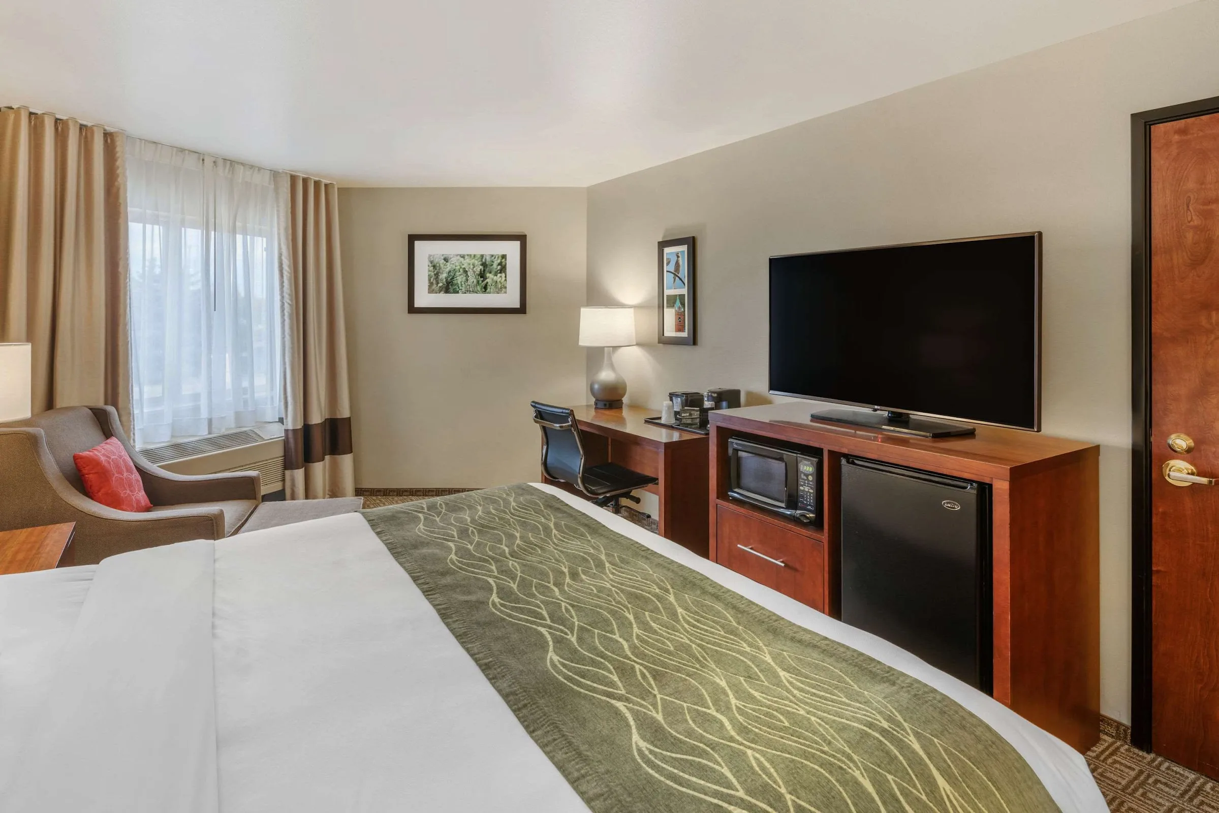 Comfort Inn University gallery image