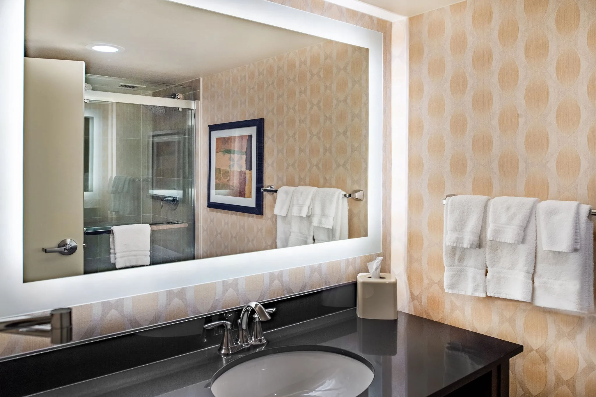 Crowne Plaza St. Louis Airport by IHG gallery image