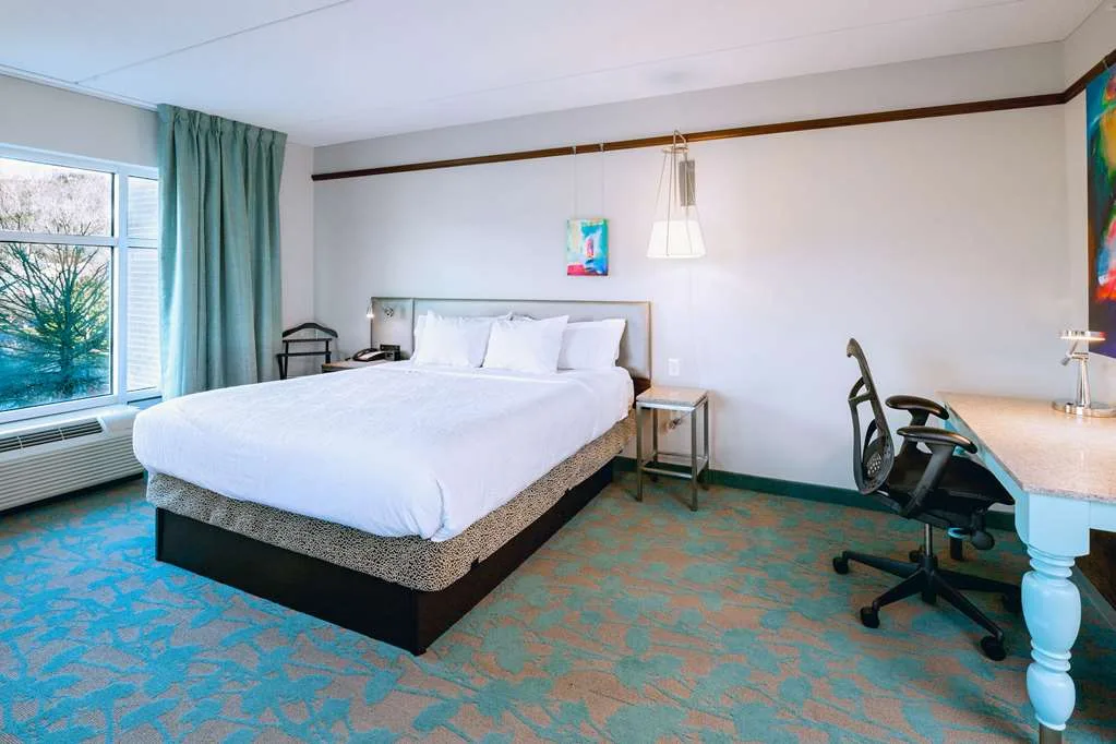 Hilton Garden Inn Asheville Downtown gallery image