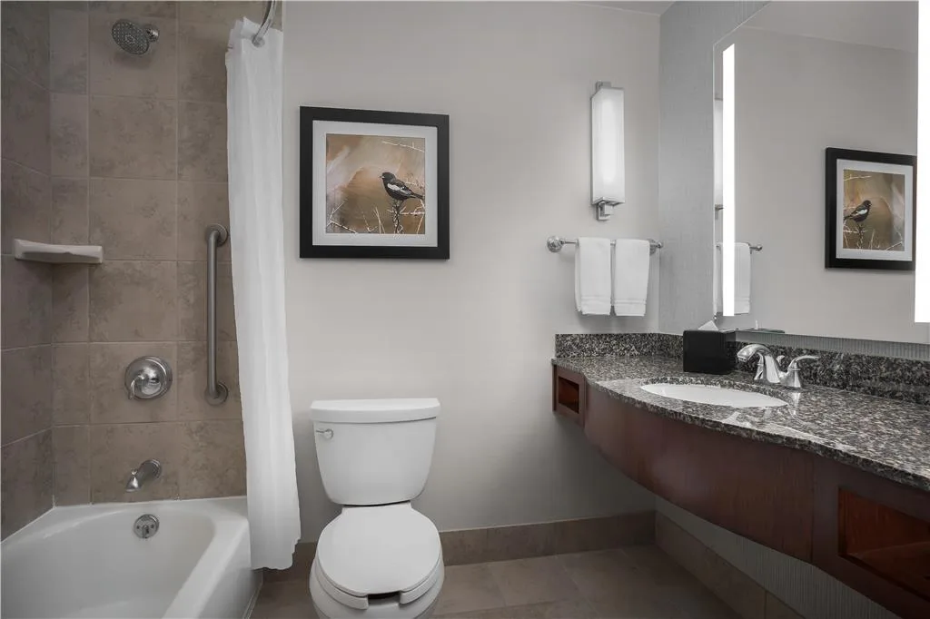 Hilton Garden Inn Denver Downtown gallery image