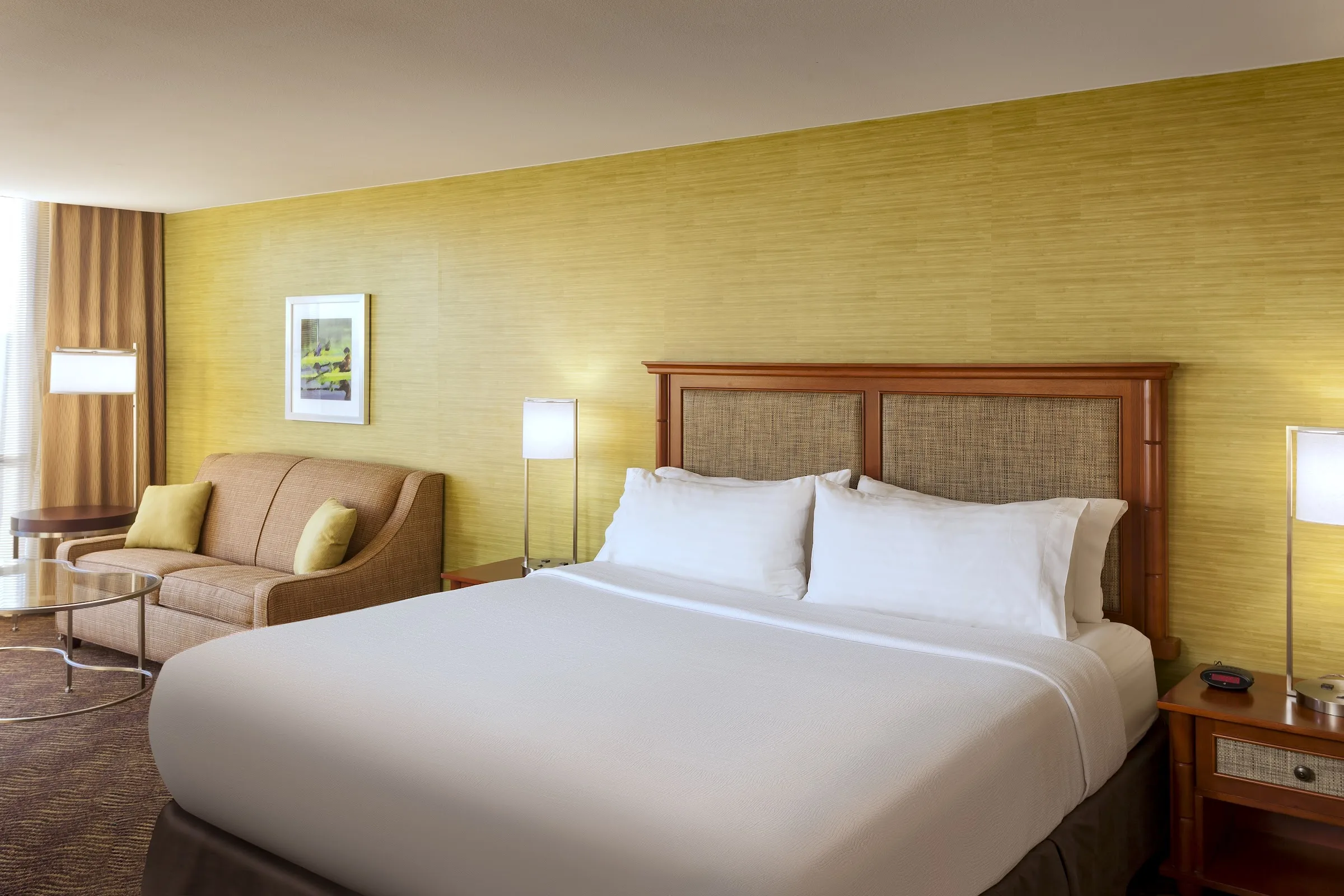 Holiday Inn Austin-Town Lake by IHG gallery image