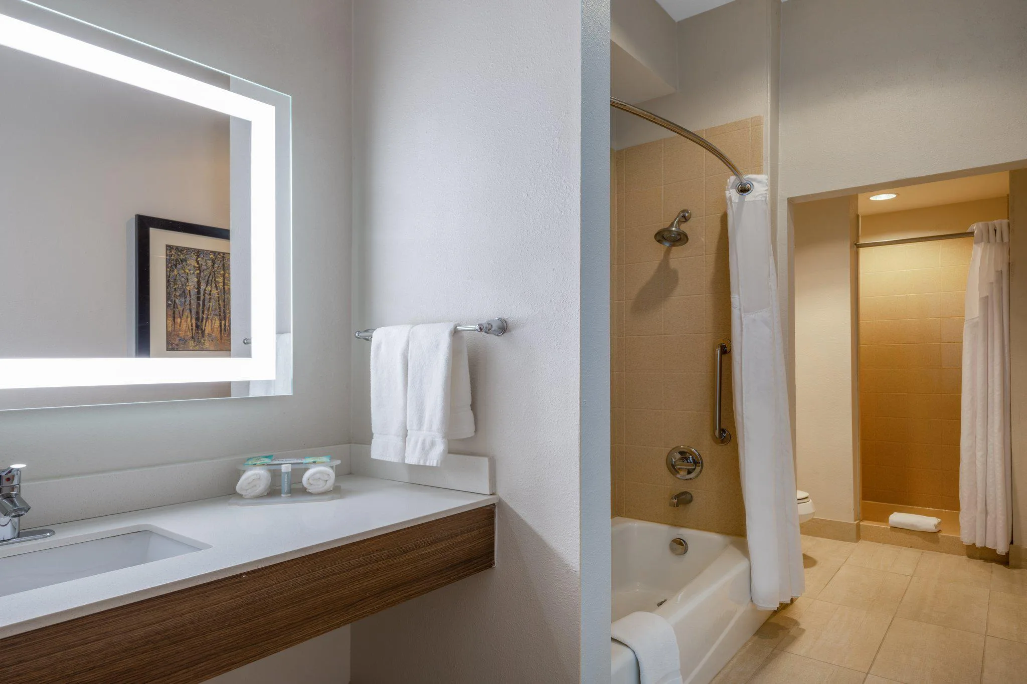 Holiday Inn Express & Suites Dallas East - Fair Park by IHG gallery image