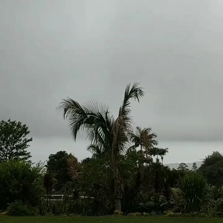 Kona Islander Inn Hotel gallery image