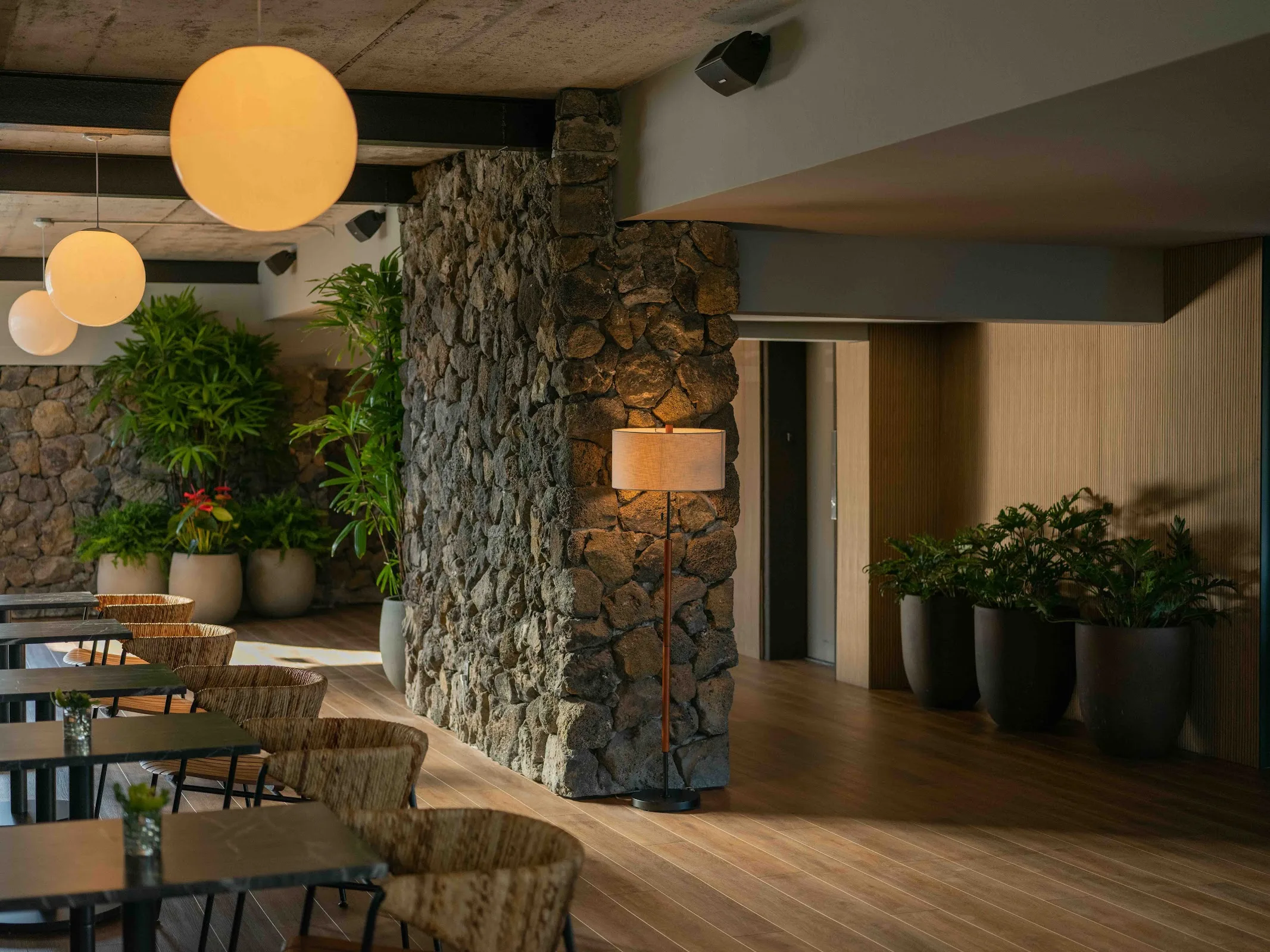 PACIFIC 19 Kona gallery image