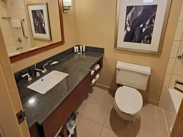 Radisson Hotel Cedar Rapids gallery image