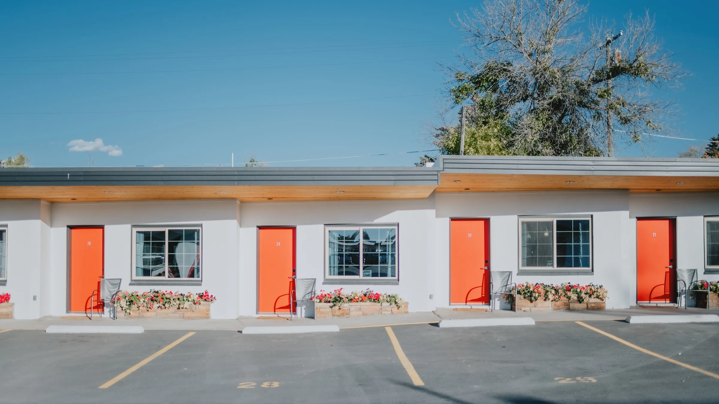 Sapphire Motel primary photo