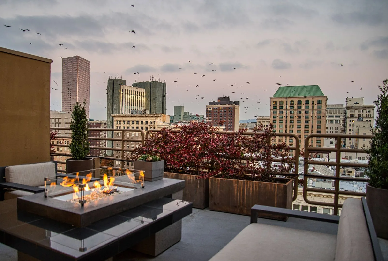 Sentinel primary photo