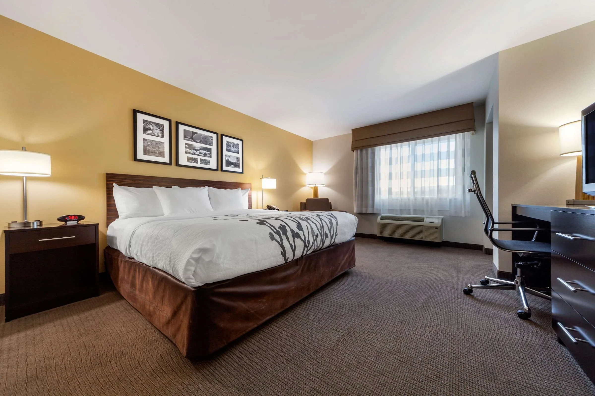 Sleep Inn & Suites Bismarck I-94 gallery image