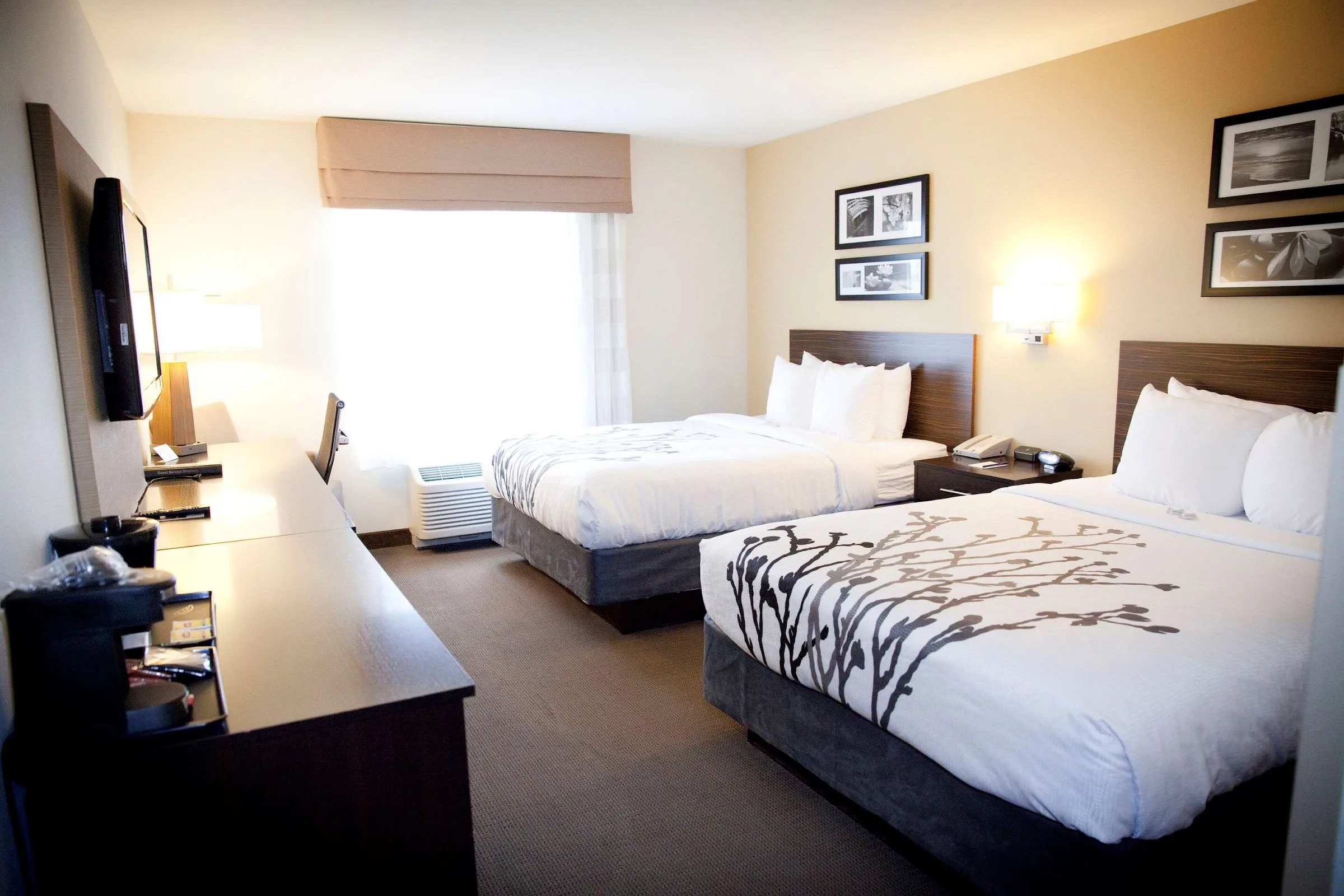 Sleep Inn & Suites Moundsville - Wheeling gallery image