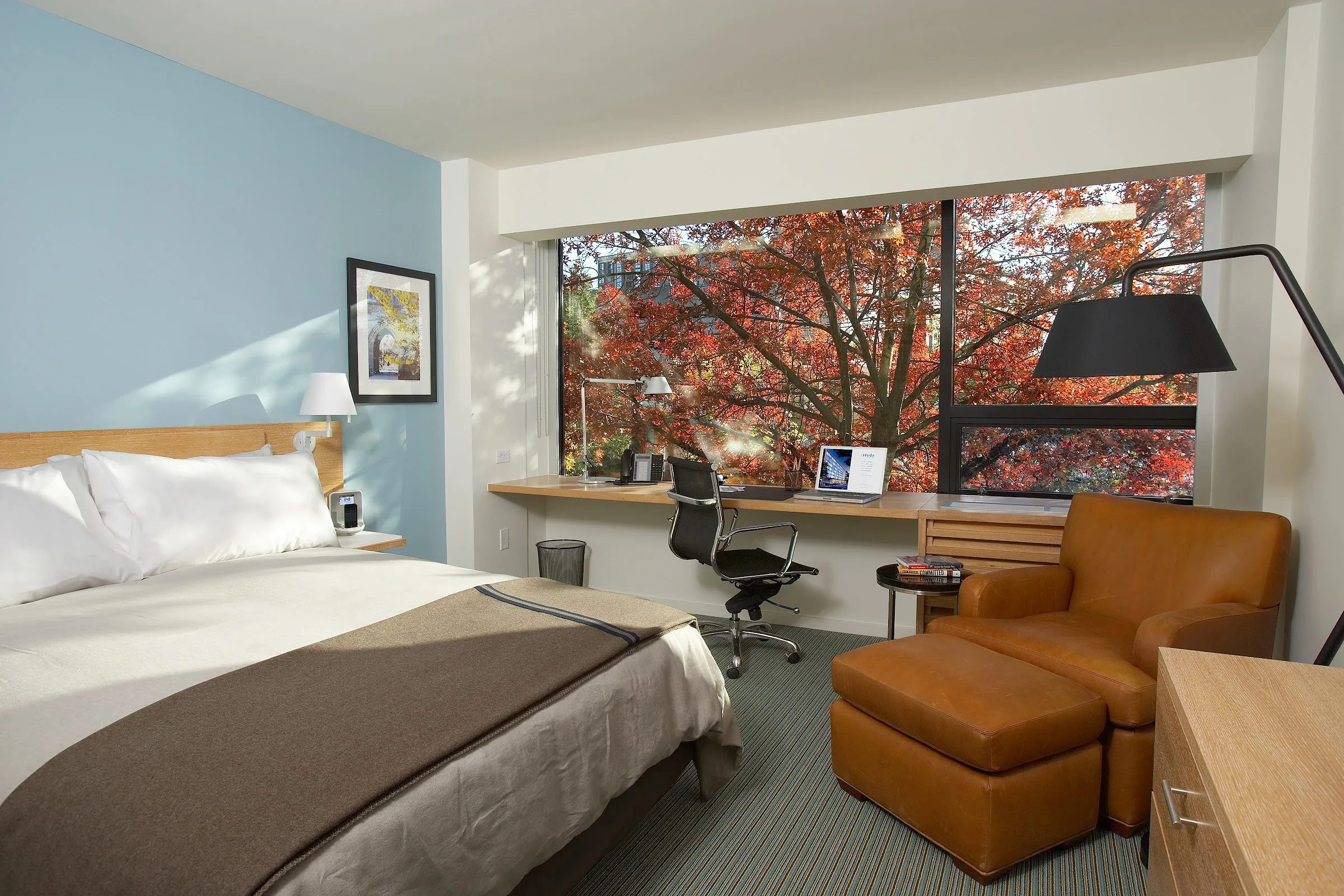 The Study at Yale primary photo