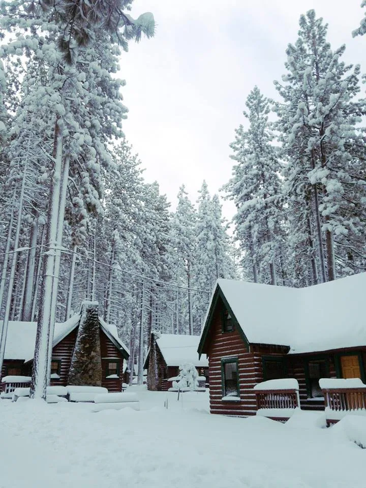 Zephyr Cove Resort gallery image